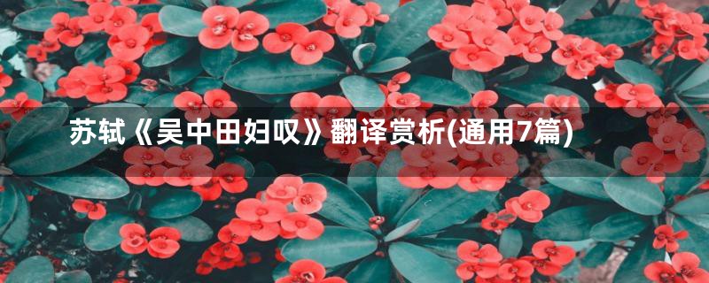 苏轼《吴中田妇叹》翻译赏析(通用7篇)