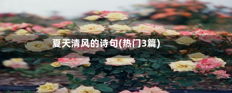 夏天清风的诗句(热门3篇)