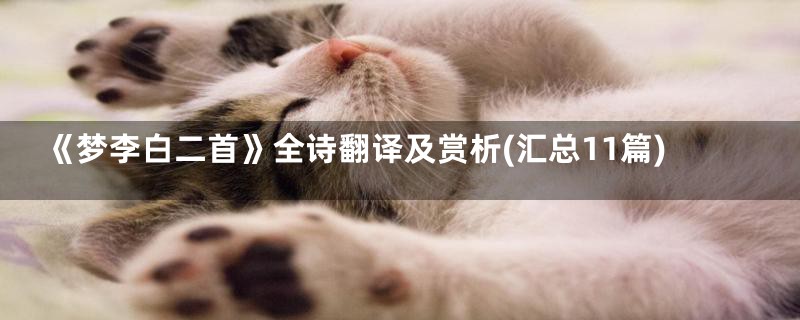 《梦李白二首》全诗翻译及赏析(汇总11篇)