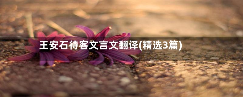 王安石待客文言文翻译(精选3篇)
