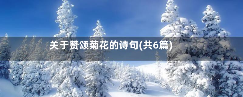 关于赞颂菊花的诗句(共6篇)