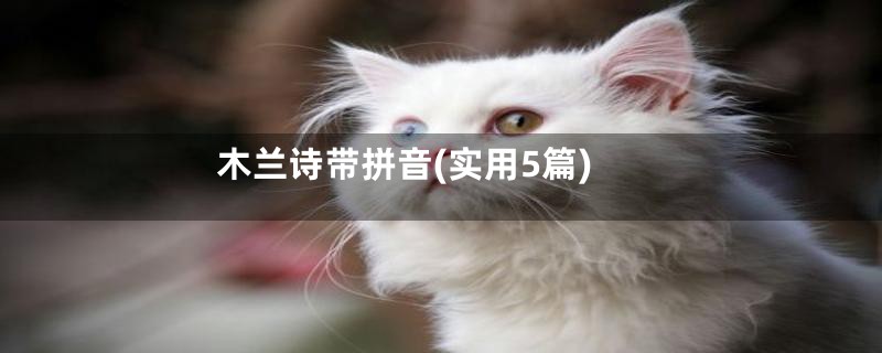 木兰诗带拼音(实用5篇)