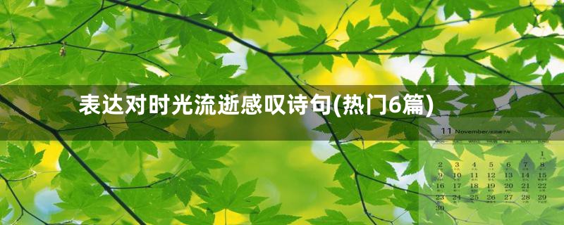 表达对时光流逝感叹诗句(热门6篇)