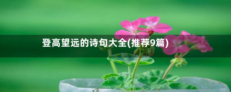 登高望远的诗句大全(推荐9篇)