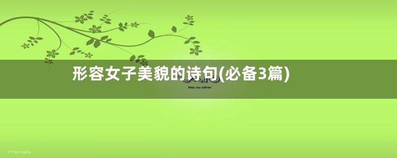 形容女子美貌的诗句(必备3篇)