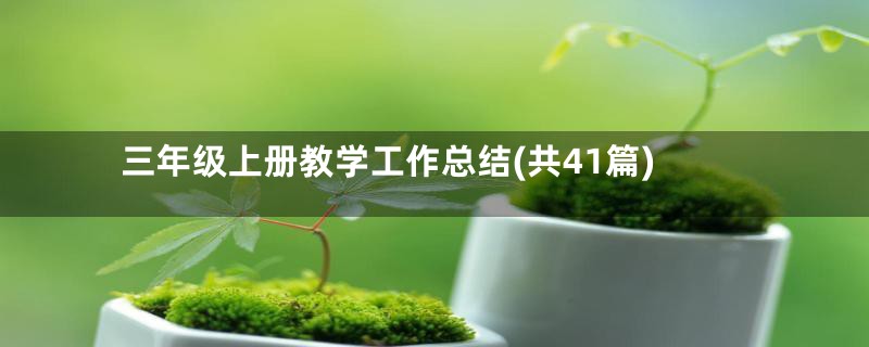 三年级上册教学工作总结(共41篇)