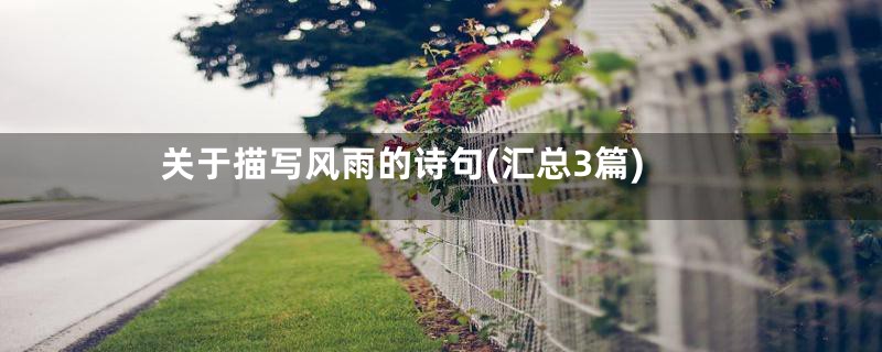关于描写风雨的诗句(汇总3篇)