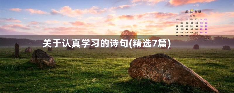 关于认真学习的诗句(精选7篇)