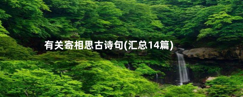 有关寄相思古诗句(汇总14篇)
