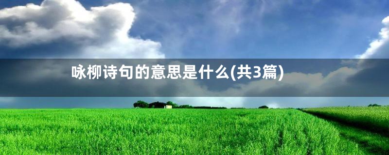 咏柳诗句的意思是什么(共3篇)