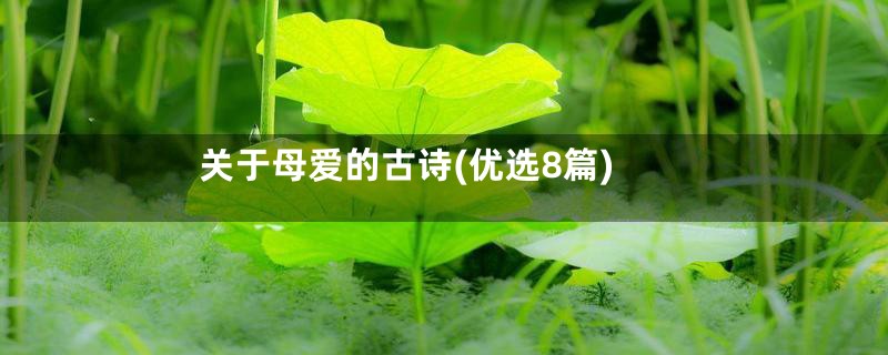 关于母爱的古诗(优选8篇)