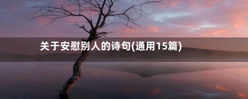 关于安慰别人的诗句(通用15篇)