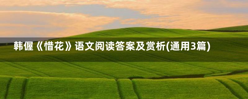 韩偓《惜花》语文阅读答案及赏析(通用3篇)