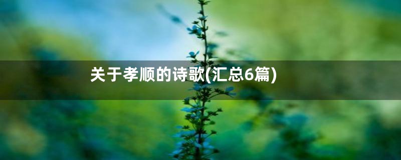 关于孝顺的诗歌(汇总6篇)