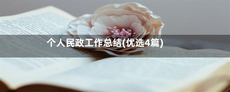 个人民政工作总结(优选4篇)