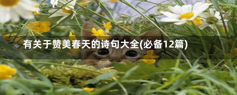 有关于赞美春天的诗句大全(必备12篇)