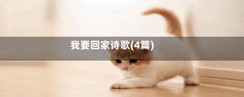 我要回家诗歌(4篇)
