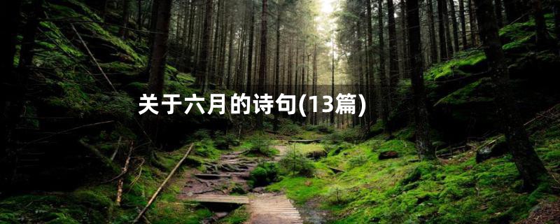 关于六月的诗句(13篇)