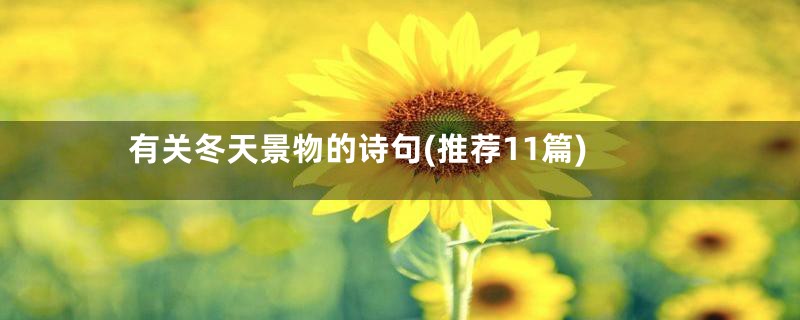 有关冬天景物的诗句(推荐11篇)