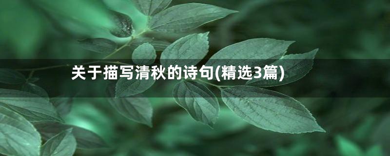 关于描写清秋的诗句(精选3篇)