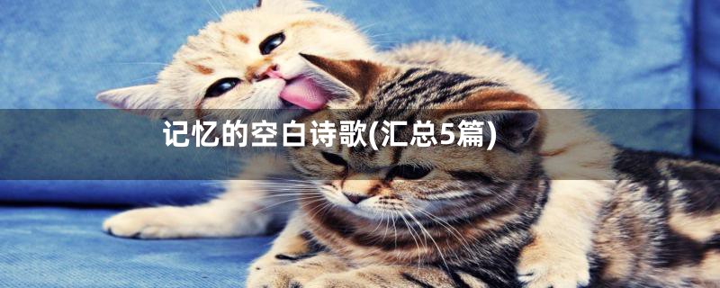 记忆的空白诗歌(汇总5篇)