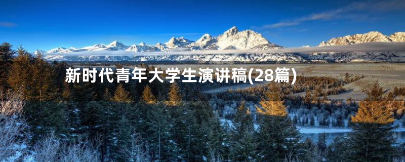 新时代青年大学生演讲稿(28篇)