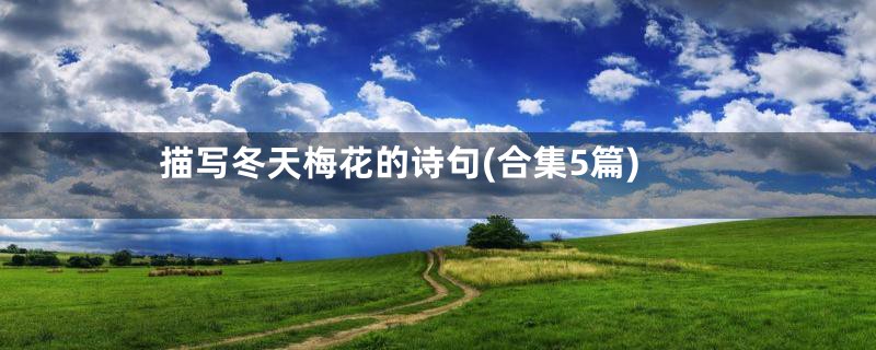 描写冬天梅花的诗句(合集5篇)