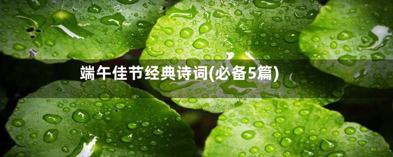 端午佳节经典诗词(必备5篇)