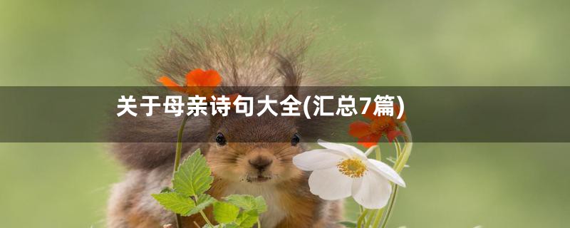 关于母亲诗句大全(汇总7篇)