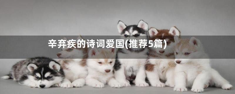 辛弃疾的诗词爱国(推荐5篇)