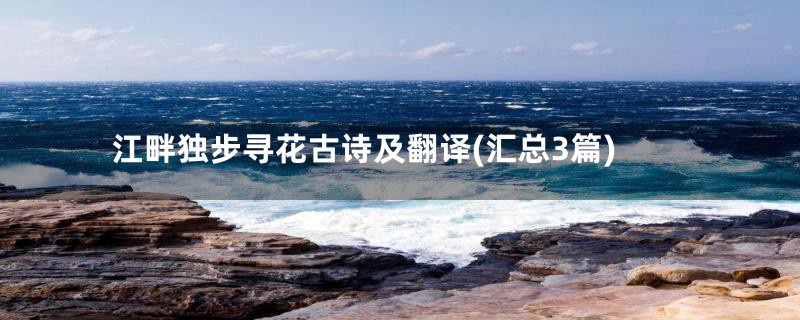 江畔独步寻花古诗及翻译(汇总3篇)