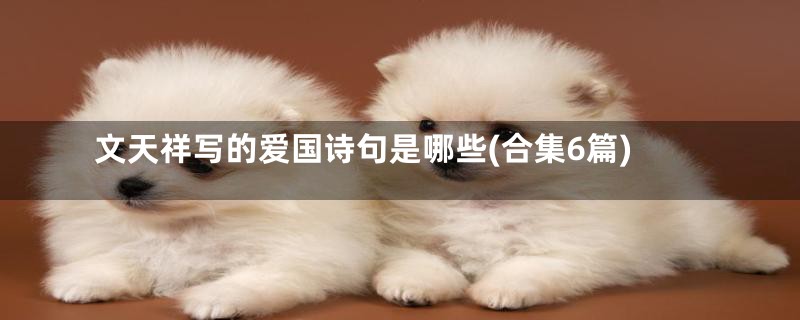 文天祥写的爱国诗句是哪些(合集6篇)