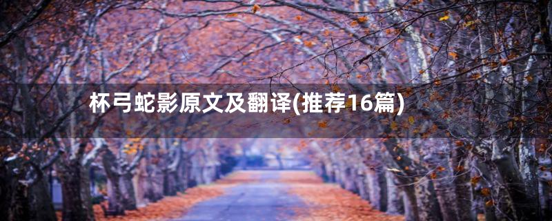 杯弓蛇影原文及翻译(推荐16篇)