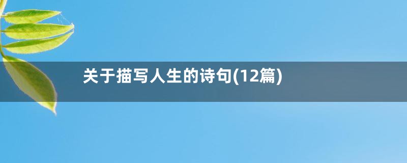 关于描写人生的诗句(12篇)