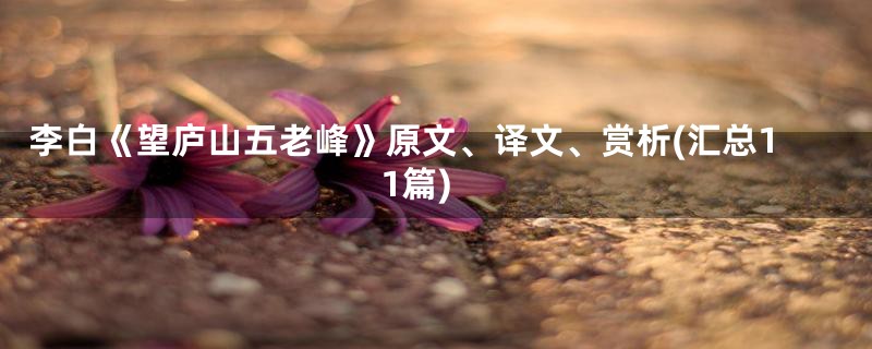 李白《望庐山五老峰》原文、译文、赏析(汇总11篇)