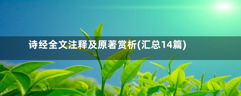诗经全文注释及原著赏析(汇总14篇)