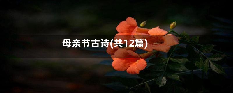 母亲节古诗(共12篇)