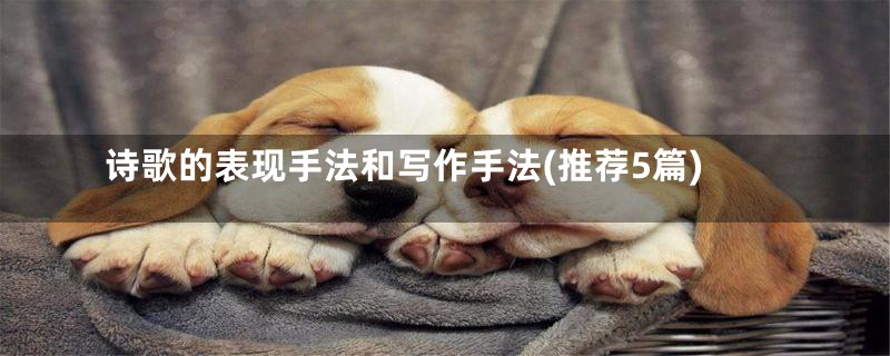 诗歌的表现手法和写作手法(推荐5篇)