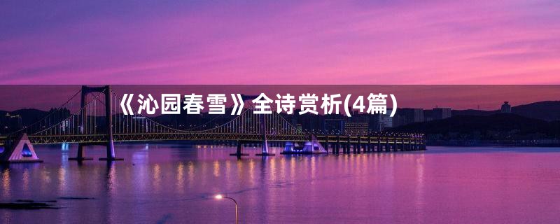 《沁园春雪》全诗赏析(4篇)