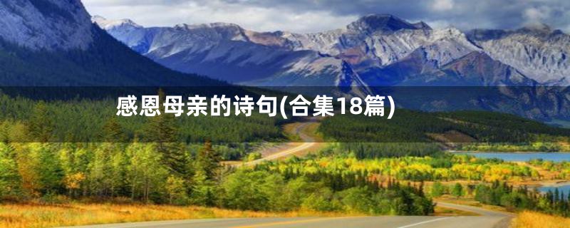 感恩母亲的诗句(合集18篇)