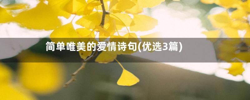 简单唯美的爱情诗句(优选3篇)