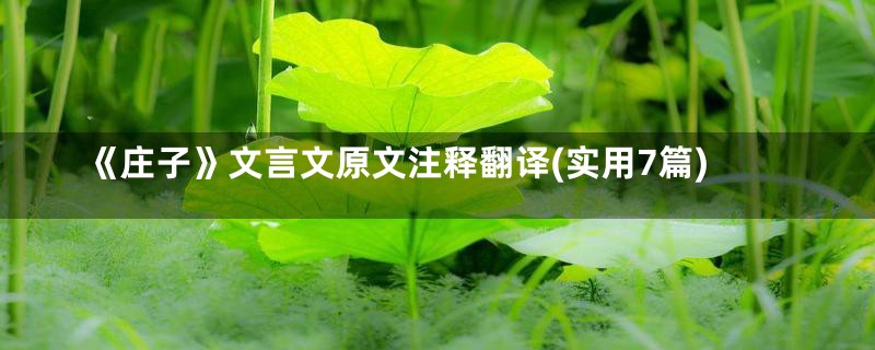《庄子》文言文原文注释翻译(实用7篇)