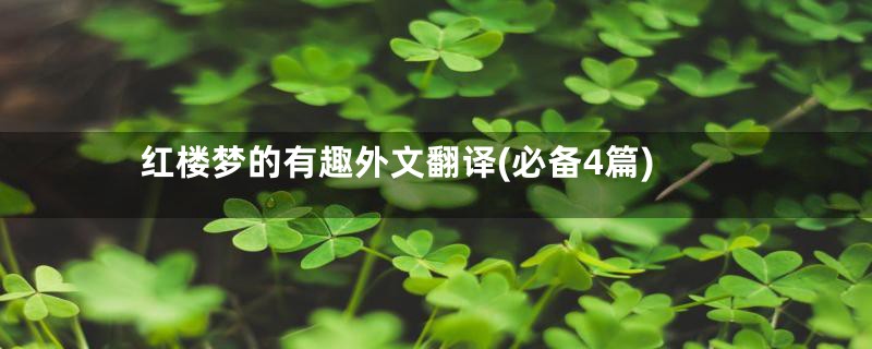 红楼梦的有趣外文翻译(必备4篇)
