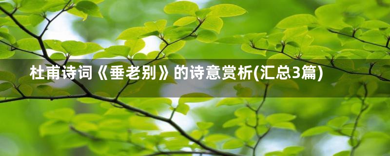 杜甫诗词《垂老别》的诗意赏析(汇总3篇)