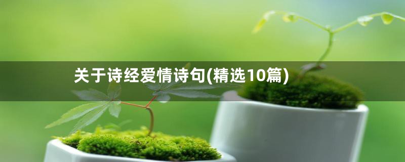 关于诗经爱情诗句(精选10篇)