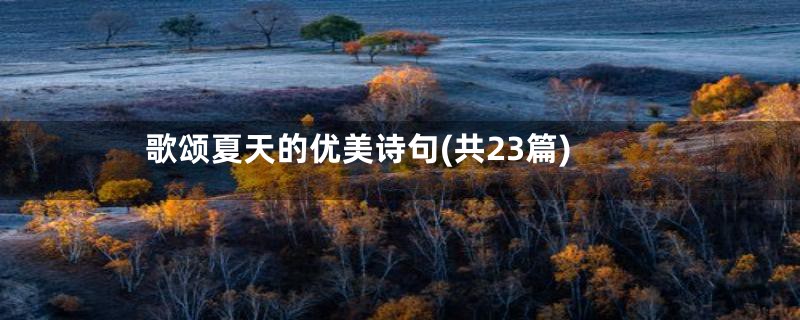歌颂夏天的优美诗句(共23篇)
