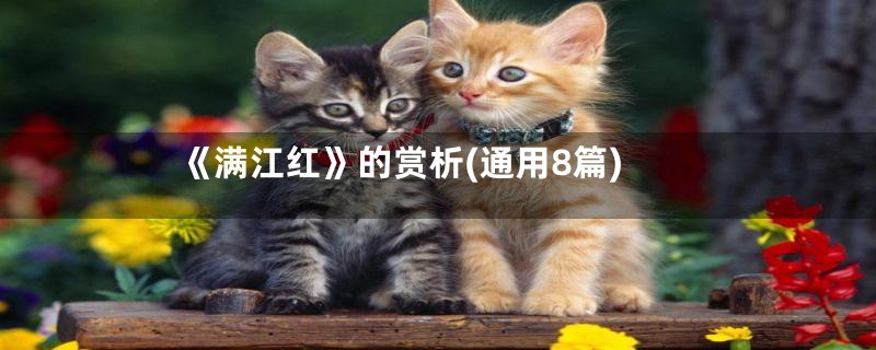 《满江红》的赏析(通用8篇)