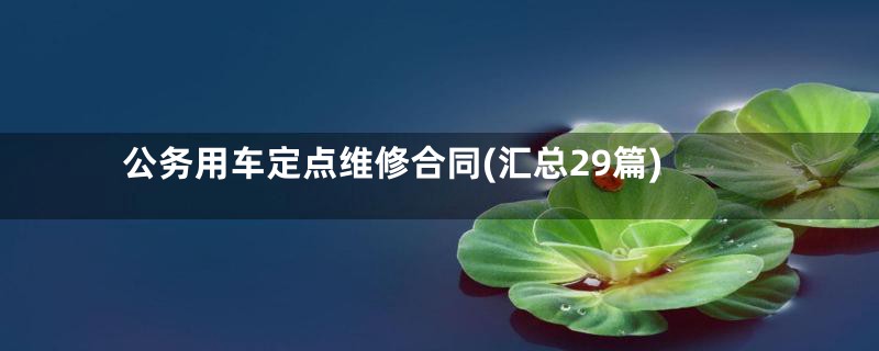 公务用车定点维修合同(汇总29篇)