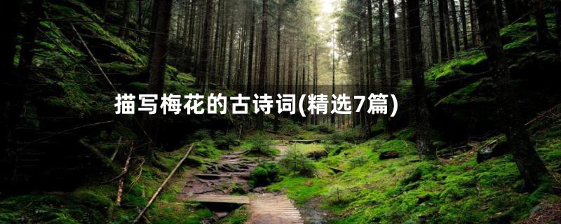 描写梅花的古诗词(精选7篇)