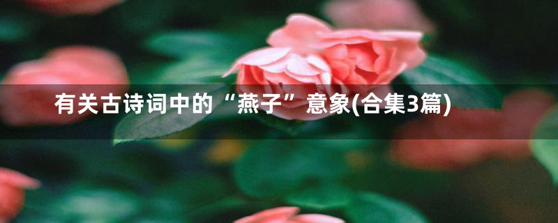 有关古诗词中的“燕子”意象(合集3篇)